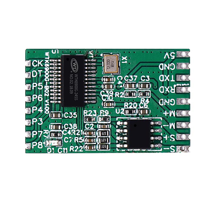 <b>WTK6900CS-B01語音識(shí)別控制模塊</b>