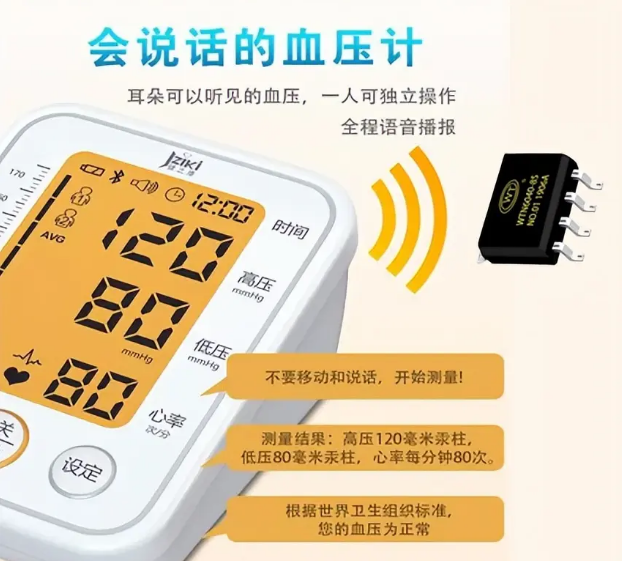 血壓計(jì)語(yǔ)音芯片方案