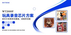 玩具錄音芯片方案-WT2000P單芯片集成播報及錄放音功能-直推8歐姆0.5W喇叭
