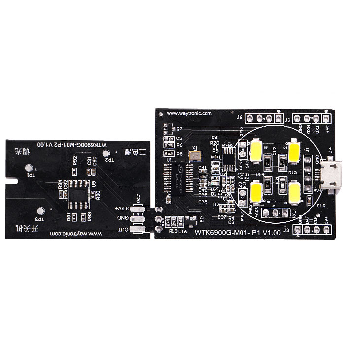 <b>WTK6900G-M01-P1燈具語音控制ic</b>